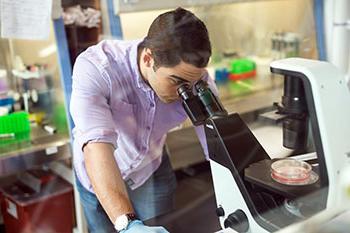 Student examines a sample under a microscope.