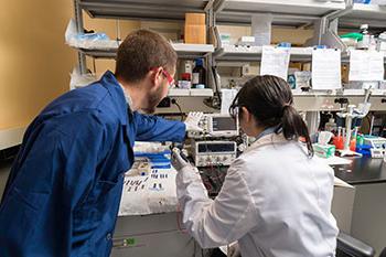 Students work on a portable, point-of-care potassium electrode sensor.