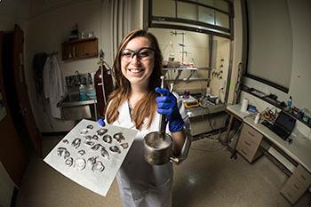 An engineering student working on a research project