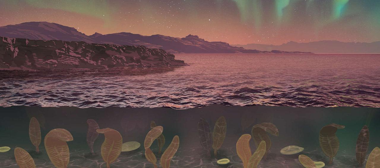 Illustration of a cross-section of the ocean featuring Ediacaran fauna, including Dickinsonia, under water while an aurora shines in the sky.